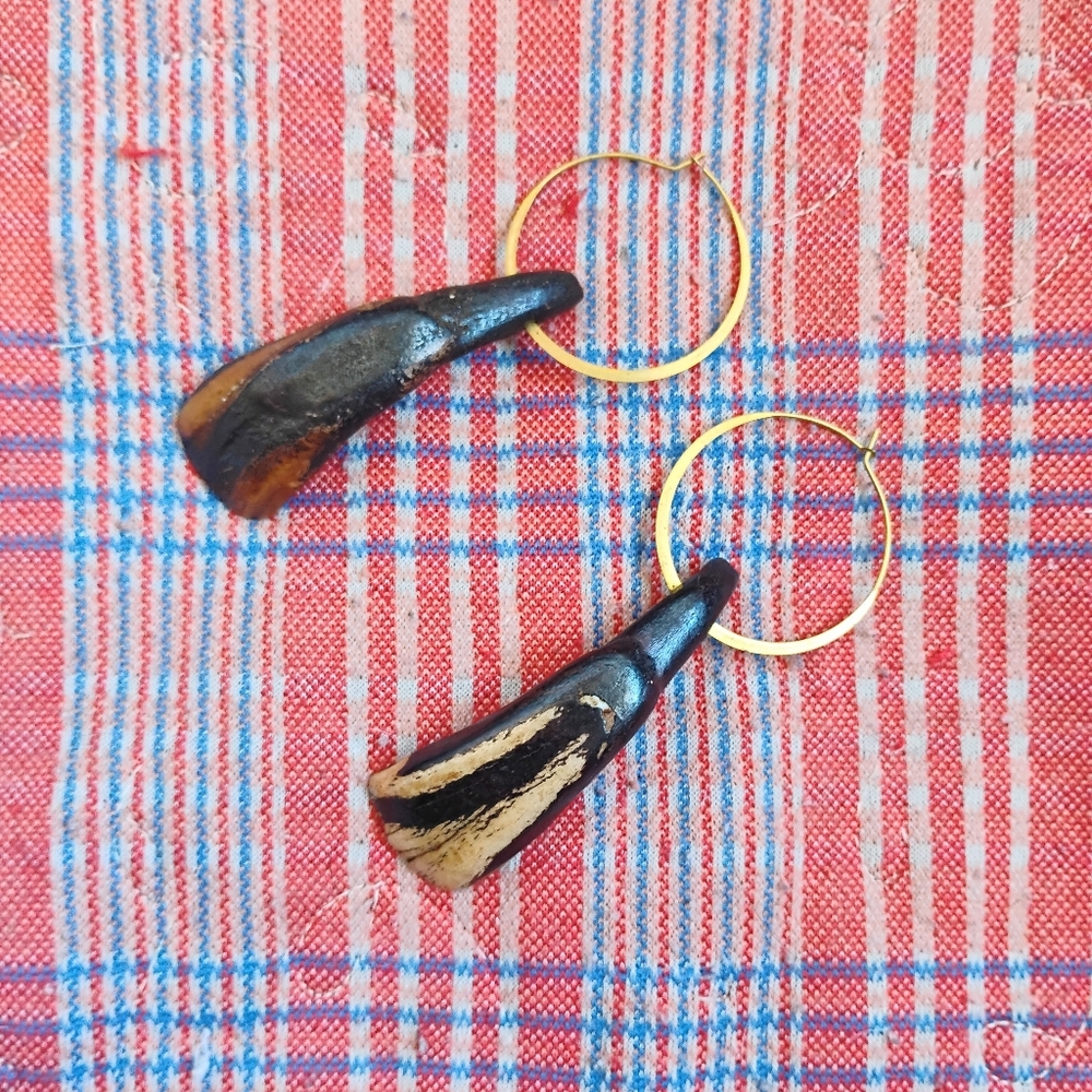 Dark Buffalo Tooth Hoops - Round Hoops - Picture 2 of 4